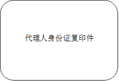 代理人身份证复印件 